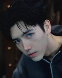 15 phim ghi dấu ấn của Trần Phi Vũ trên màn ảnh Hoa ngữ缩略图