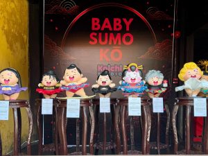 Koichi đưa Baby Sumo Kō đến Lễ hội Giao lưu văn hóa Hội An – Nhật Bản缩略图