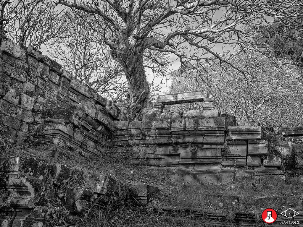 Triển lãm Inscape: Những nội cảnh mở ra từ thế giới hữu hình của Tom Hricko缩略图 Triển lãm Inscape: Những nội cảnh mở ra từ thế giới hữu hình của Tom Hricko缩略图