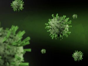 Bạn có nên lo lắng về hantavirus? Các triệu chứng và biện pháp phòng ngừa缩略图