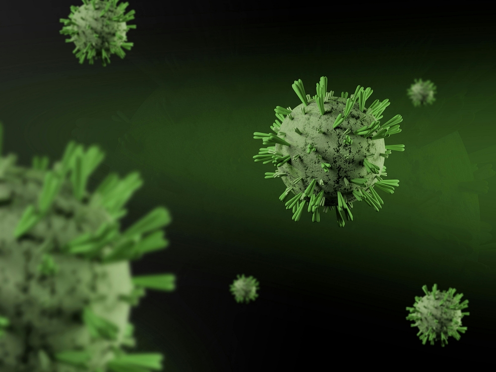 Bạn có nên lo lắng về hantavirus? Các triệu chứng và biện pháp phòng ngừa缩略图 Bạn có nên lo lắng về hantavirus? Các triệu chứng và biện pháp phòng ngừa缩略图