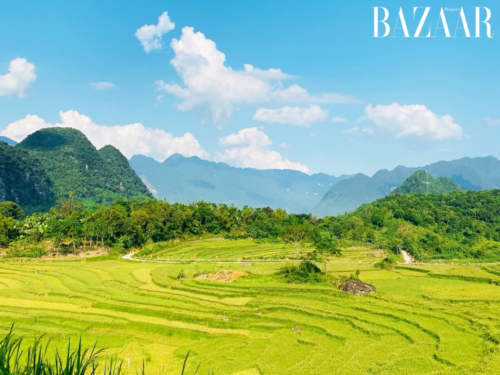Các địa điểm ngắm lúa chín ở Pù Luông đẹp nhất là ở đâu?缩略图 Các địa điểm ngắm lúa chín ở Pù Luông đẹp nhất là ở đâu?缩略图
