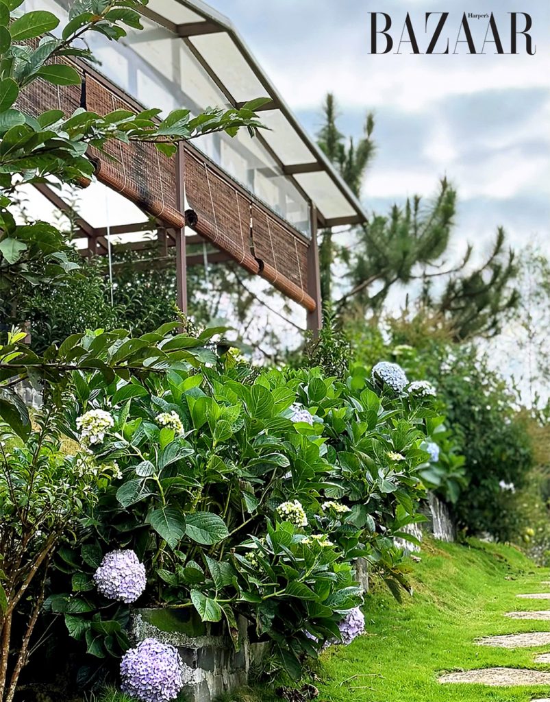 Anne’s Garden: Khu vườn hoa hồng trăm cây cận kề Bảo Lộc缩略图 Anne’s Garden: Khu vườn hoa hồng trăm cây cận kề Bảo Lộc缩略图