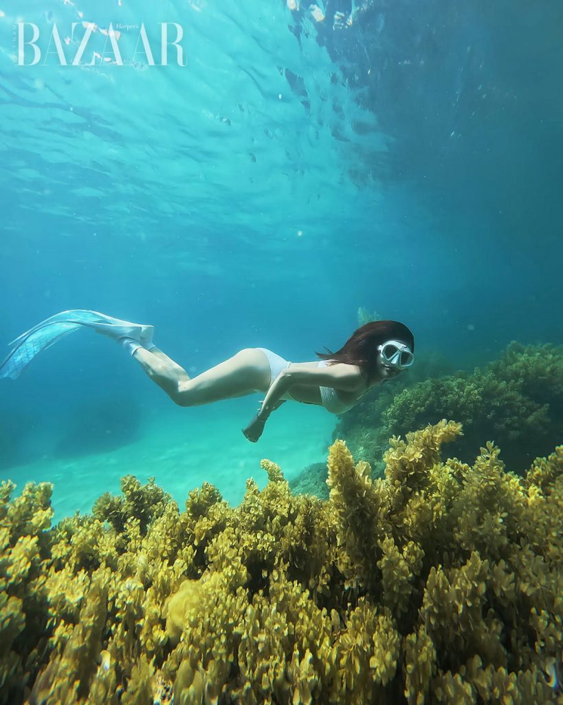 Lặn tự do freediving như Diệp Lâm Anh là gì, làm sao nhập môn?缩略图