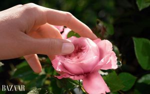 Ngửi mùi hương hoa hồng mỗi ngày mang tới lợi ích to lớn này缩略图