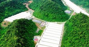 3 người tử vong, 4 người bị thương trong vụ tai nạn tại trang trại lợn ở Thanh Hóa缩略图