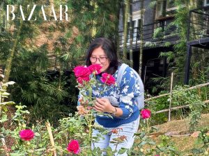 5 lý do khiến Anne’s Garden là điểm dừng chân phải đến ở Bảo Lâm缩略图