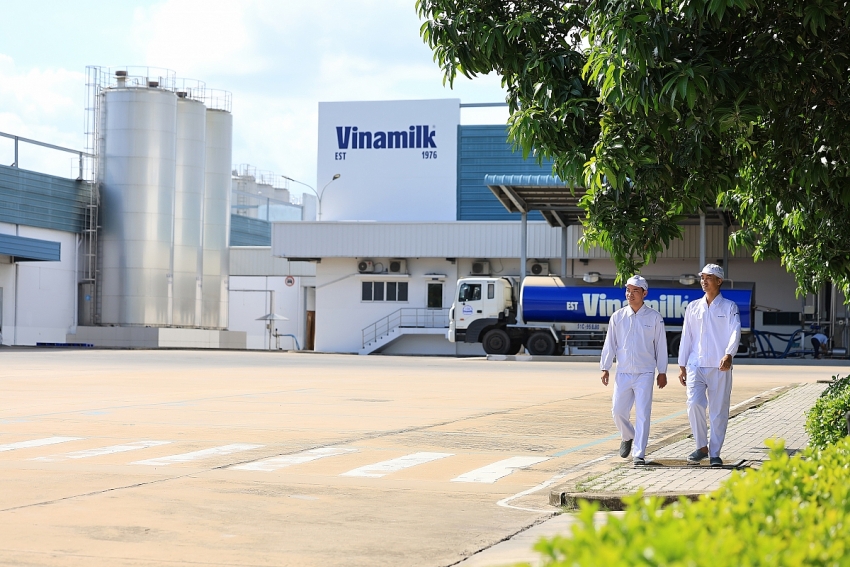 Vinamilk tiếp tục là đại diện duy nhất của ngành sữa Việt Nam trong Fortune 500 Đông Nam Á缩略图 Vinamilk tiếp tục là đại diện duy nhất của ngành sữa Việt Nam trong Fortune 500 Đông Nam Á