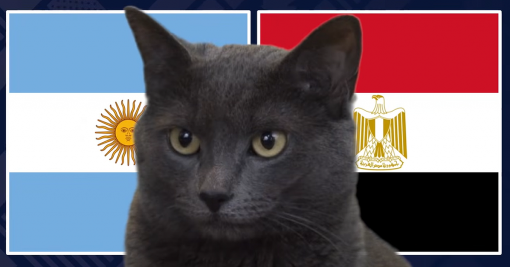 Mèo 'tiên tri' dự đoán bất ngờ kết quả trận Argentina vs Ai Cập: Bản lĩnh nhà vô địch缩略图 Mèo 'tiên tri' dự đoán bất ngờ kết quả trận Argentina vs Ai Cập: Bản lĩnh nhà vô địch缩略图