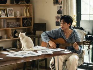 KHOI VU casting hơn 300 em mèo cho MV HN&SG缩略图
