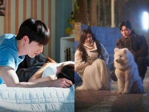 Seo Kang Joon liệu thể tạo ra một Loan Niệm thứ hai?缩略图