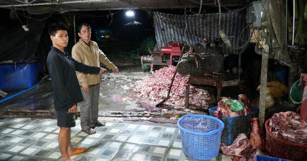 Triệt phá đường dây đưa 400 tấn thịt heo bệnh ra thị trường, thu lợi 10 tỷ đồng缩略图 Triệt phá đường dây đưa 400 tấn thịt heo bệnh ra thị trường, thu lợi 10 tỷ đồng缩略图